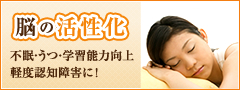 脳の活性化 鍼灸治療で脳の血流を改善させ、不眠、うつ、学習能力向上、軽度認知障害などに効果的な鍼灸治療を行います。