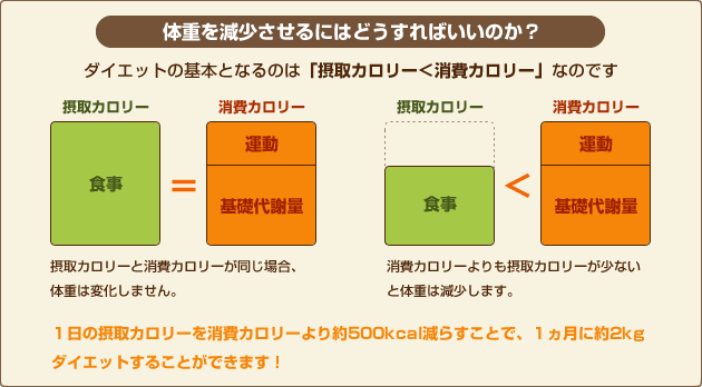 体重を減少させるにはどうすればいいのか？